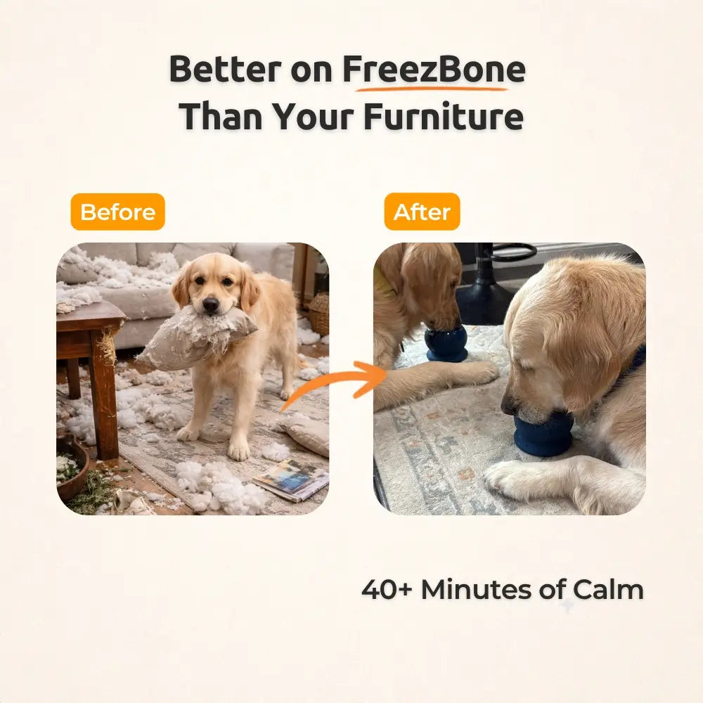 Freezball - Sturdy Fillable Dog Chew Toy