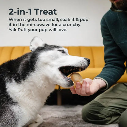 Mighty Paw All-Natural Yak Cheese Dog Chews