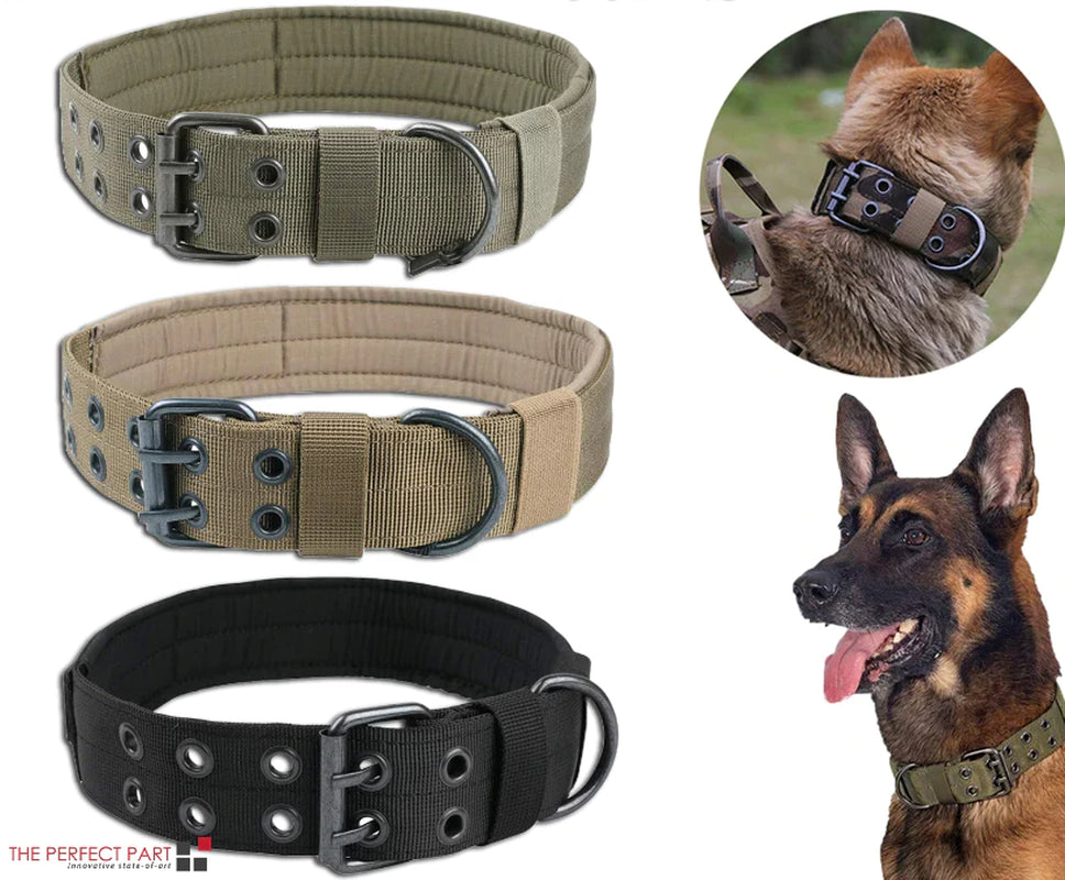 Heavy Duty 2" Wide Tactical Nylon Dog Collar for Large Breeds - K9 Military Style with Metal Buckle