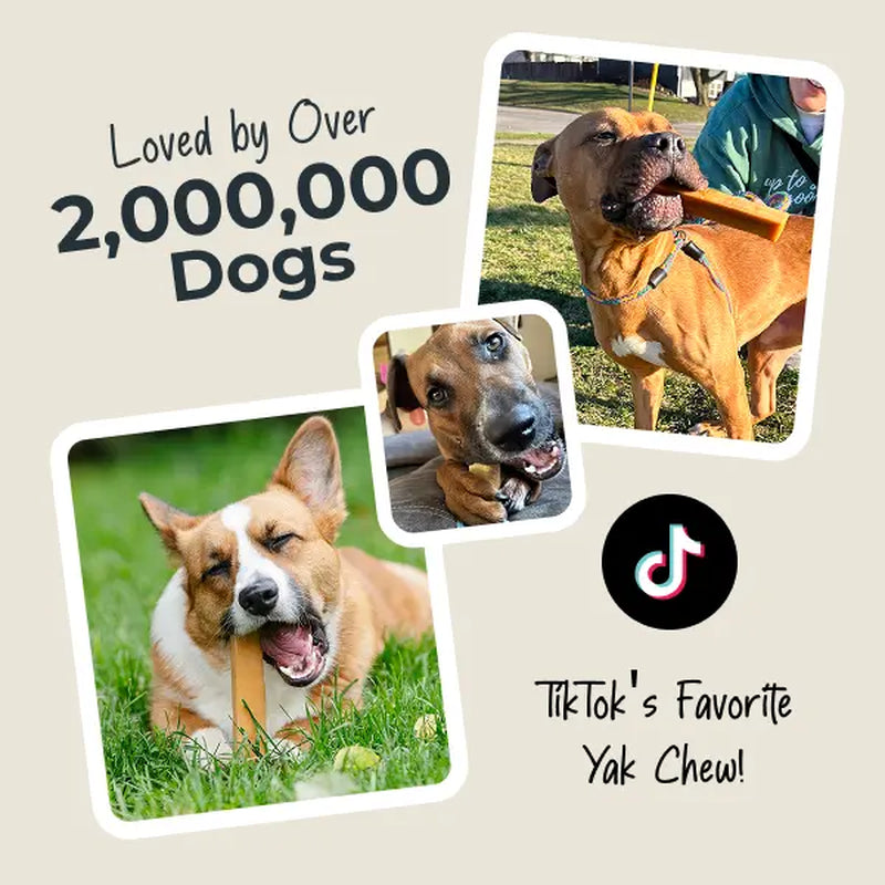 Mighty Paw All-Natural Yak Cheese Dog Chews