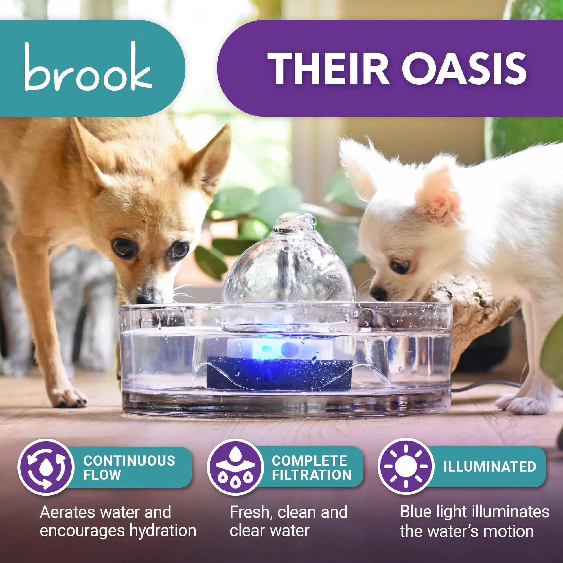 Brook Glass Pet Fountain (90 Oz / 2.7 L) – Automatic Water Dispenser for Cats and Small Dogs