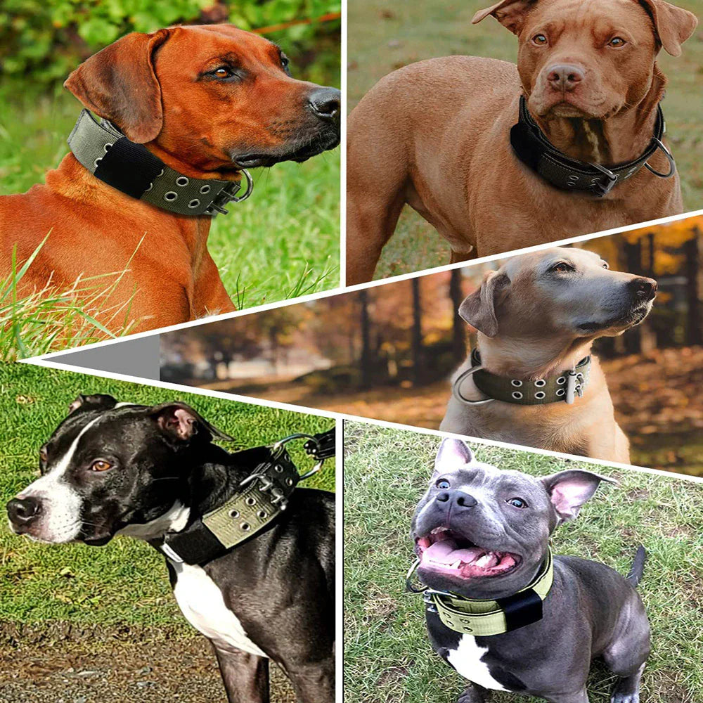 Heavy Duty 2" Wide Tactical Nylon Dog Collar for Large Breeds - K9 Military Style with Metal Buckle