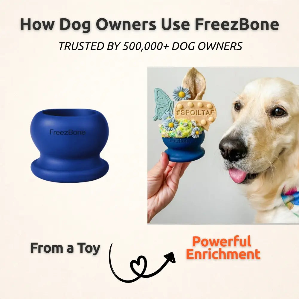 Freezball - Sturdy Fillable Dog Chew Toy
