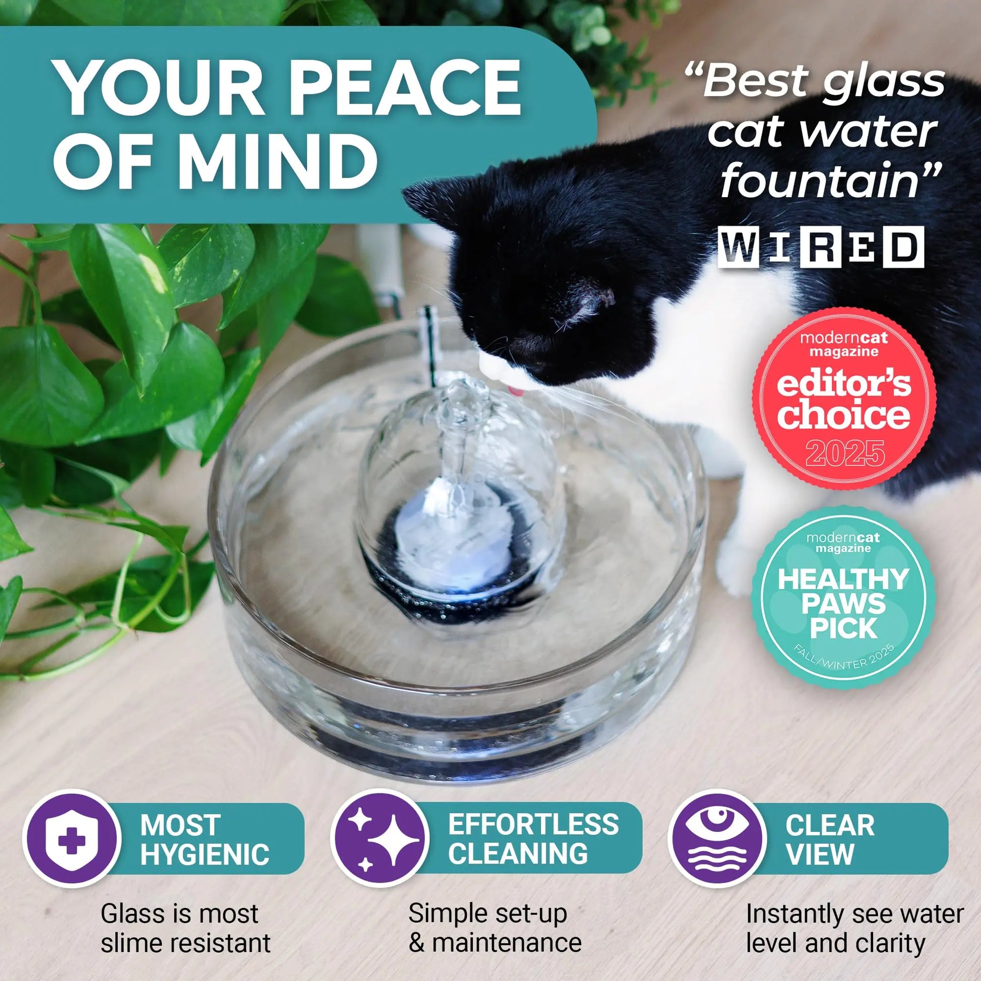 Brook Glass Pet Fountain (90 Oz / 2.7 L) – Automatic Water Dispenser for Cats and Small Dogs